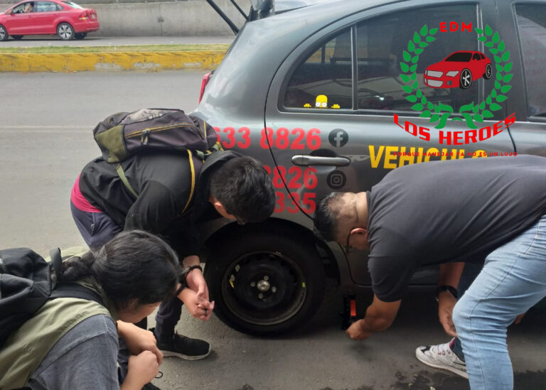 Copia de Emlh 1 - 114